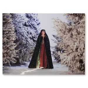NEW Taylor Swift Wildest Winter Litho Evermore